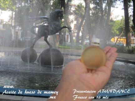 Aceite de hueso de mamey (Cuidado Personal), en Guadalajara, 			JALISCO