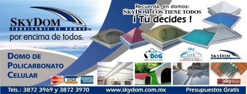 SKYDOM. DOMOS DE ACRILICO Y POLICARBONATO (Construccin e Inmobiliaria), en MEXICO, 			DISTRITO FEDERAL