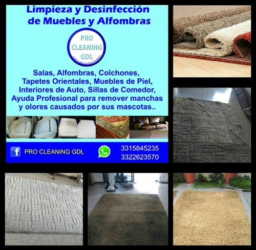 Limpieza de alfombras y tapetes (Muebles y Decoracin), en Guadalajara, 			JALISCO